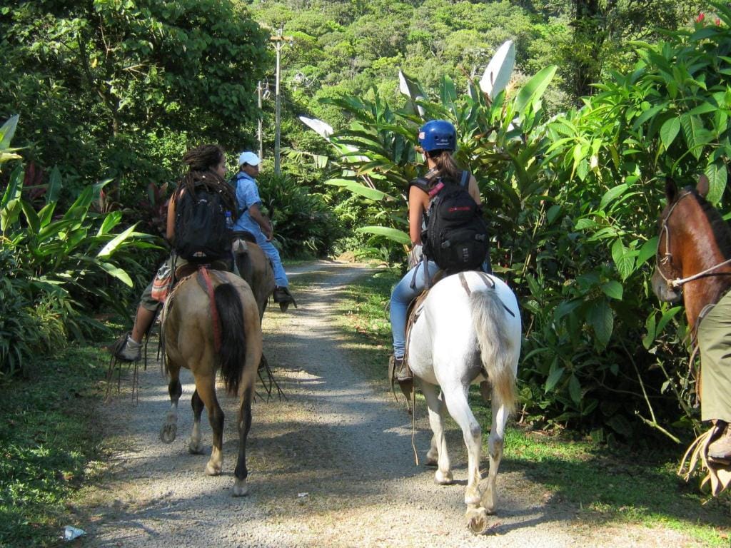 Celeste Mountain Lodge — 4