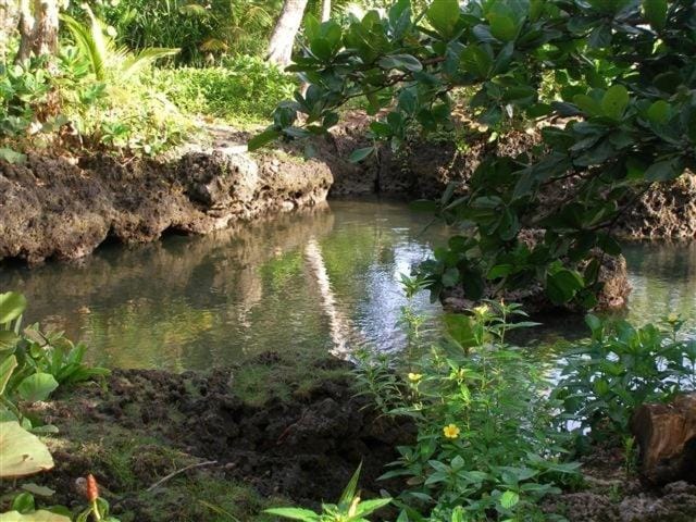 Piscina Natural on the Sea — 1