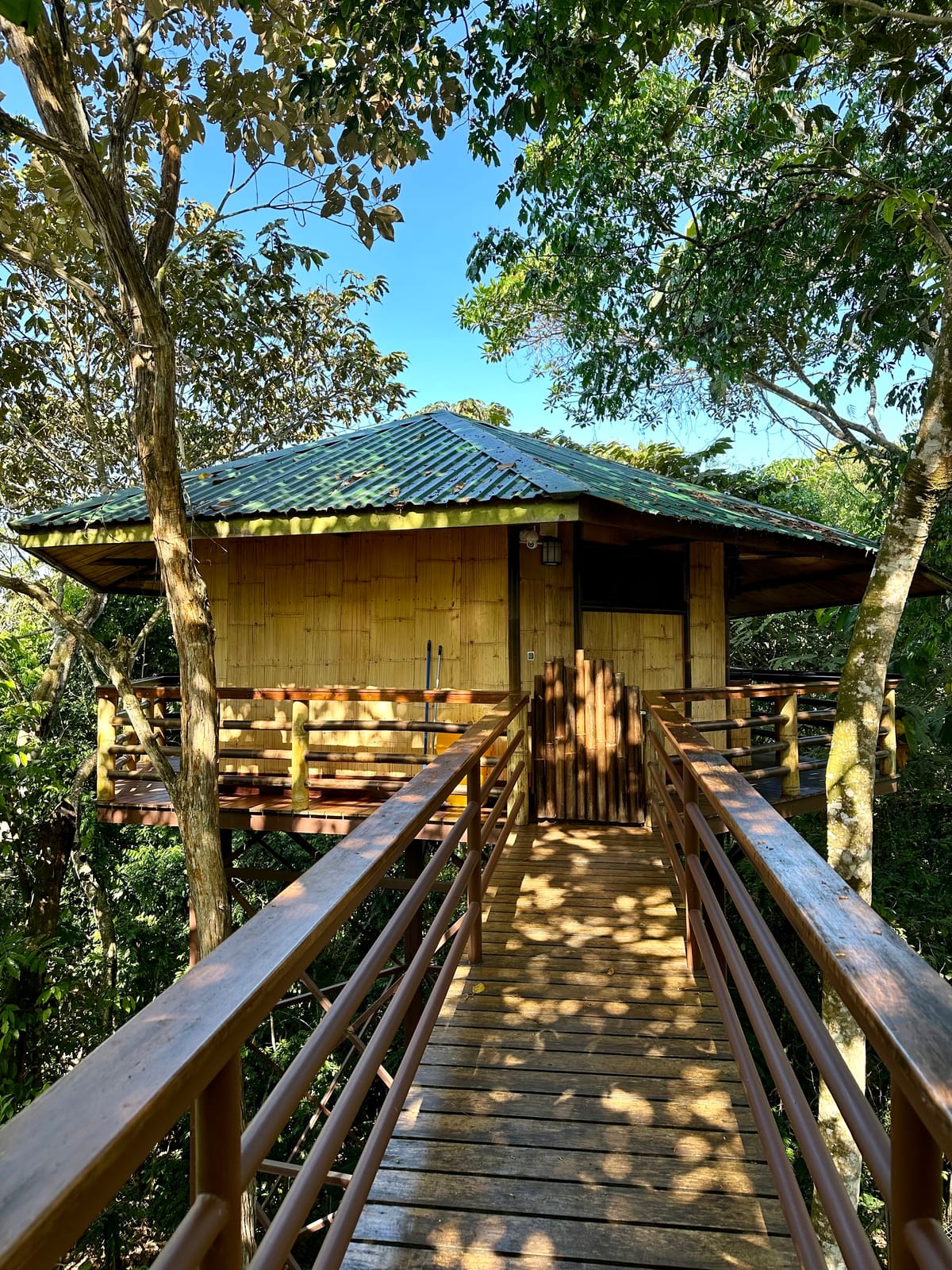 Treehouse Pilón — 3