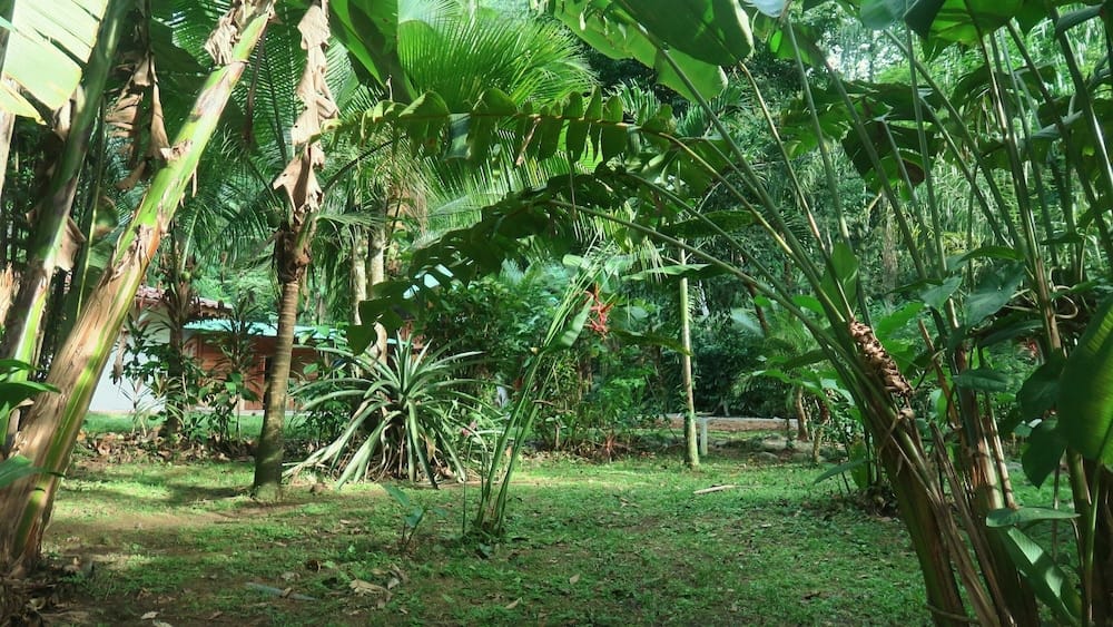 Casa Moabi — 4