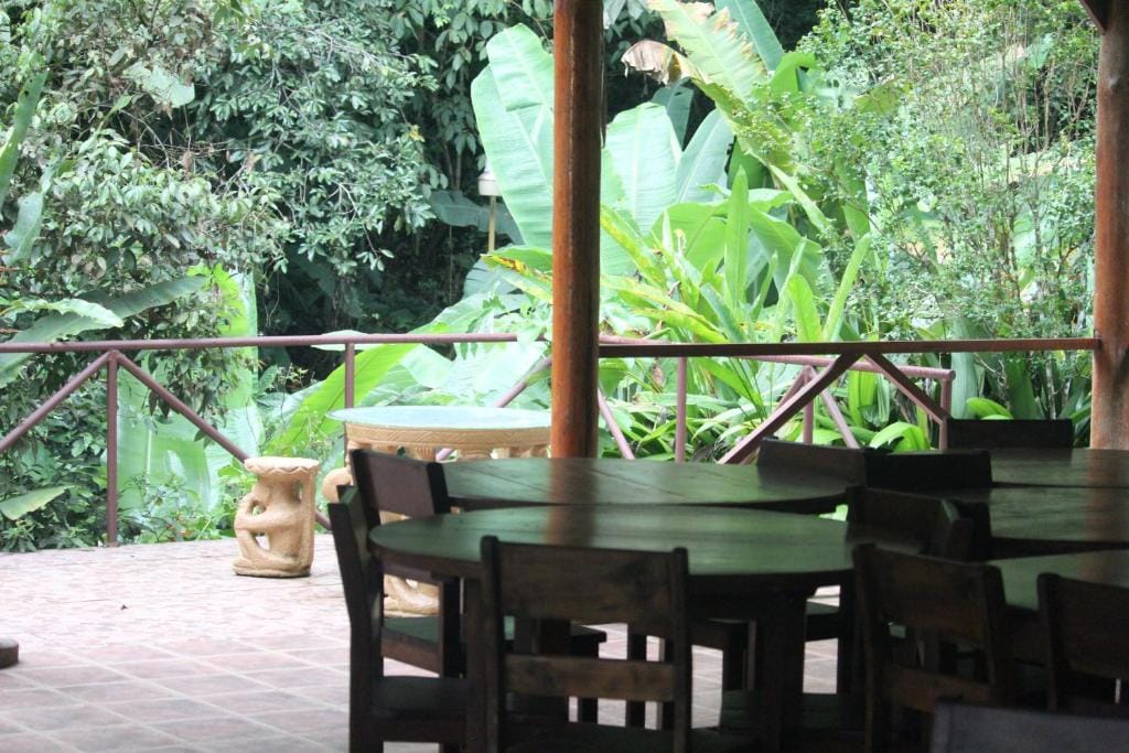 Iguana Libre — 3