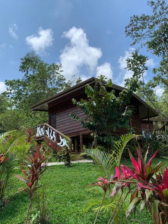 Chato Arenal Lodge — 1