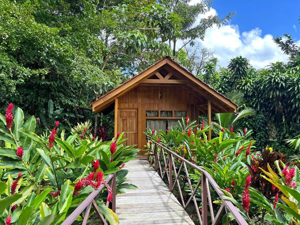 La Fortuna Natural Green — 1