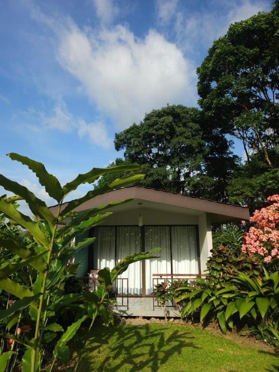 Yellow Tree Suites — 1