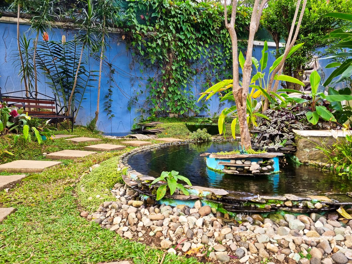 Casa Jardin del Mango — 2