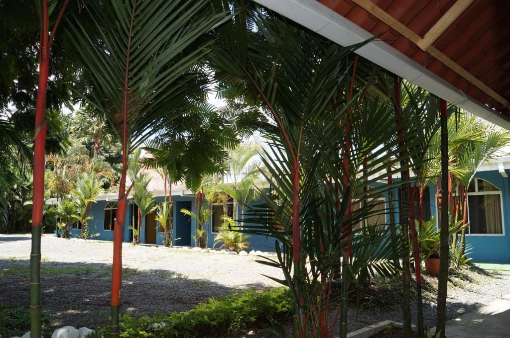 Hotel y Cabinas del Trópico — 5