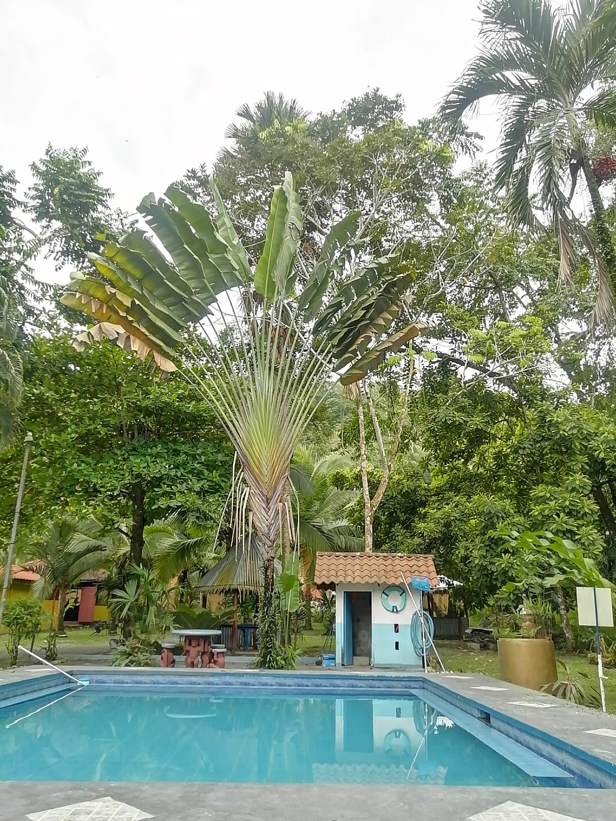 Hotel Hawa — 1