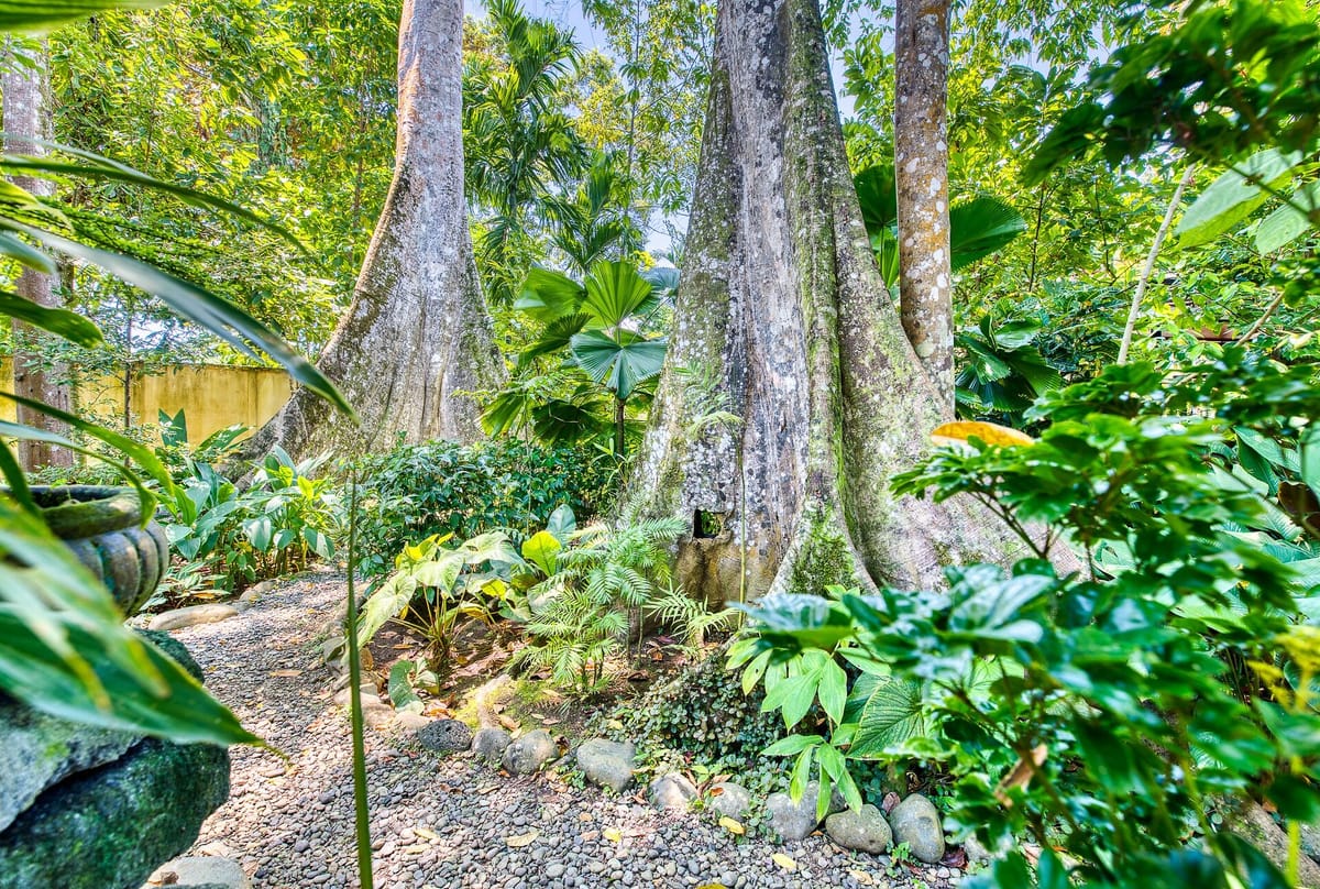 Villas Pina — 5