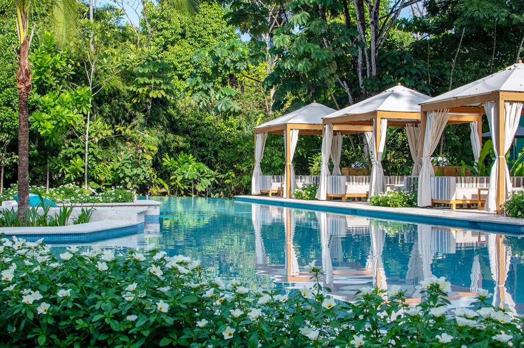 Botanika Osa Peninsula, Curio Collection by Hilton — 1