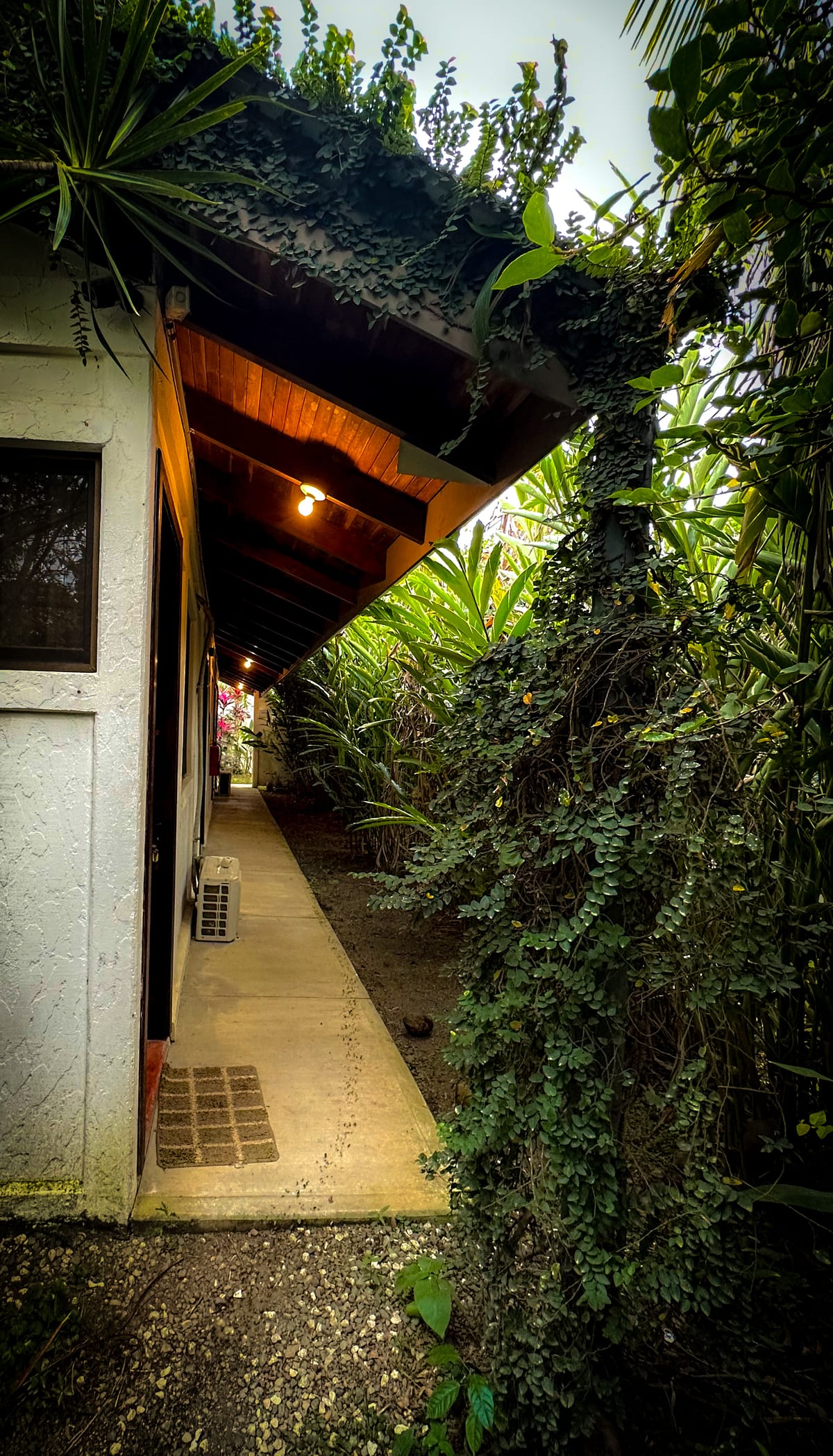 Cabinas Tropicales — 2
