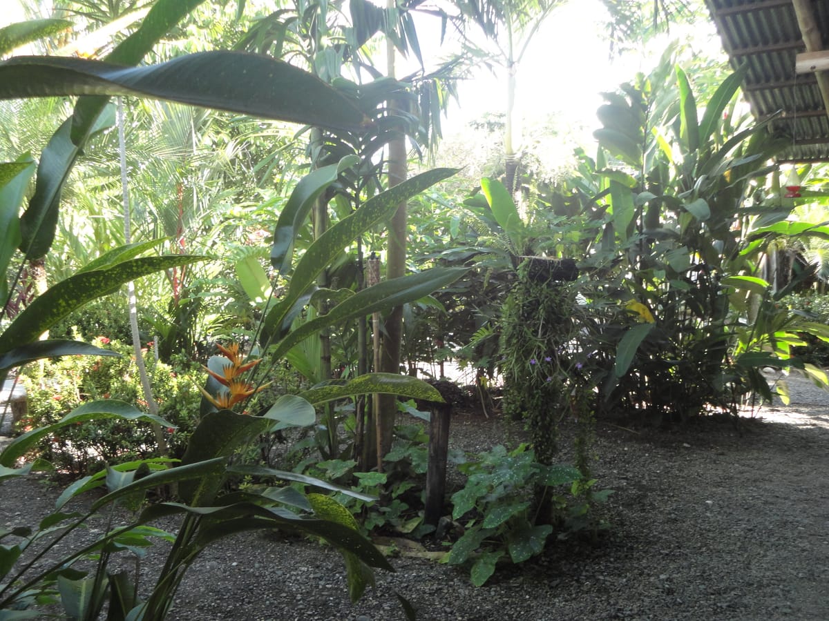 Cabinas Tropicales — 4