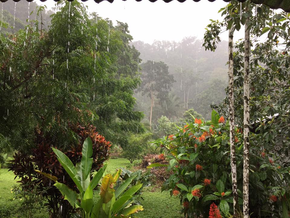 Canto del Tucán Lodge & Farm — 2