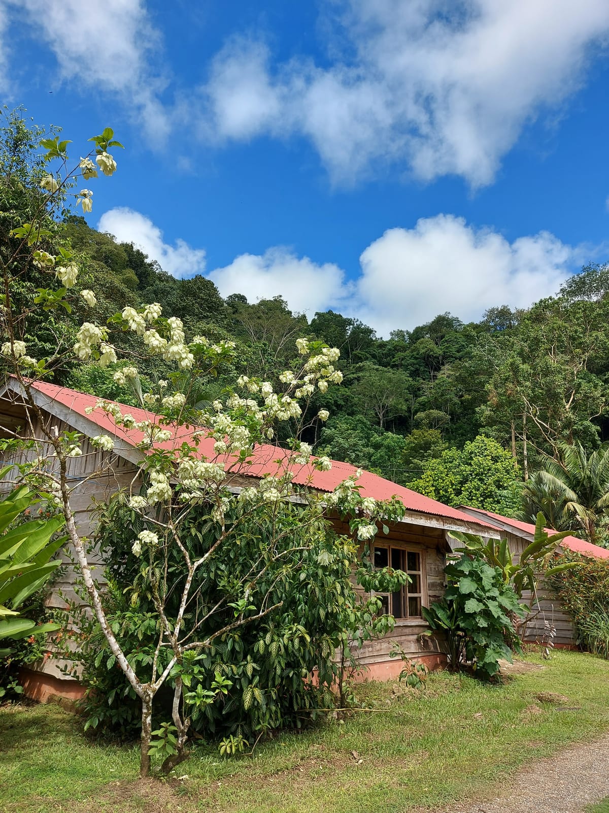 Canto del Tucán Lodge & Farm — 3