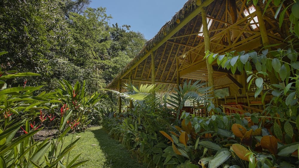 Esquinas Rainforest Lodge — 3
