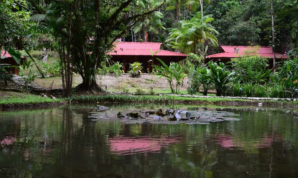 Esquinas Rainforest Lodge — 4
