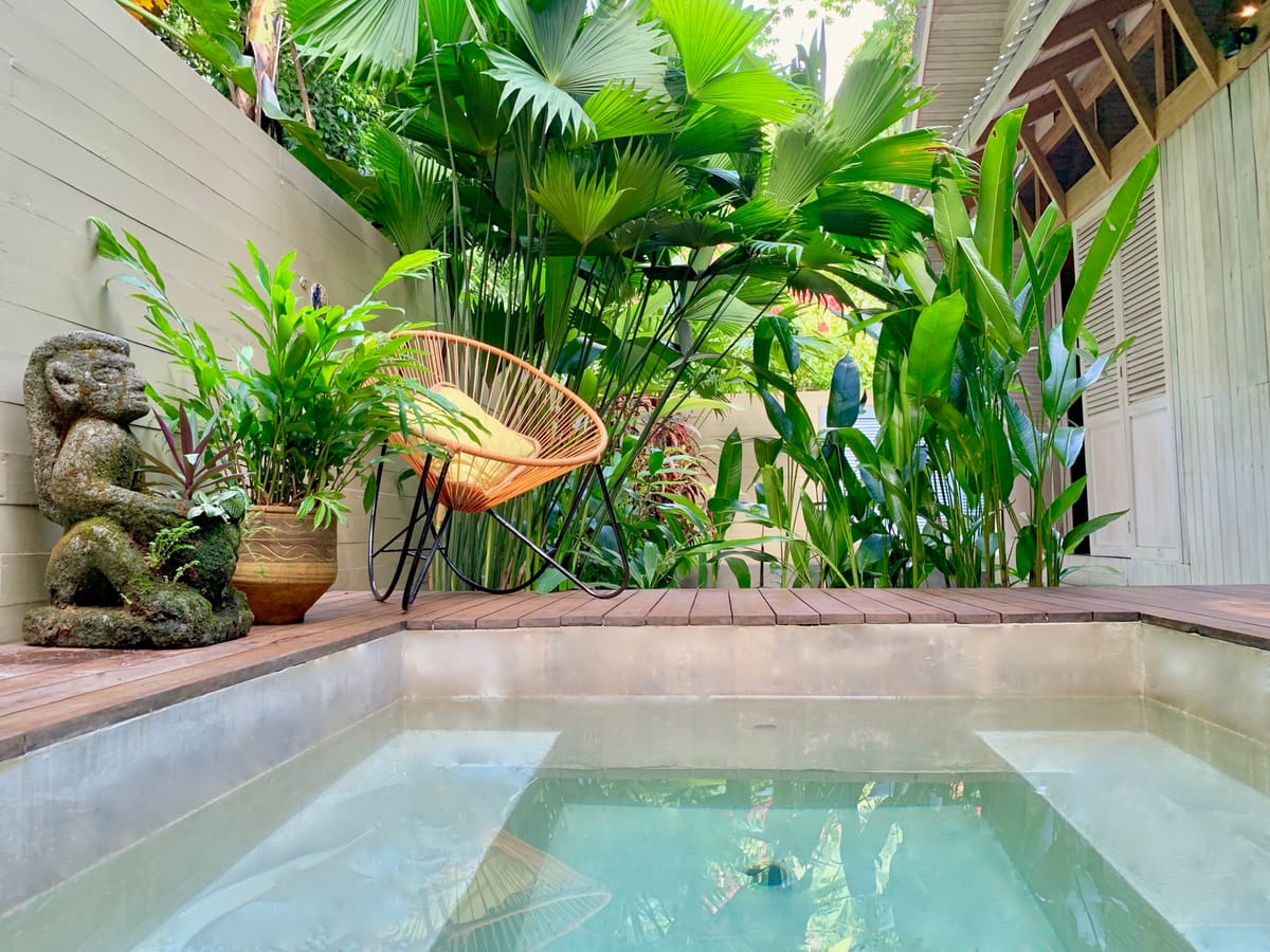 Golfo Dulce Retreat | Rainforest & Beach Ecolodge — 4
