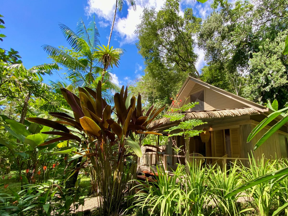 Golfo Dulce Retreat | Rainforest & Beach Ecolodge — 5