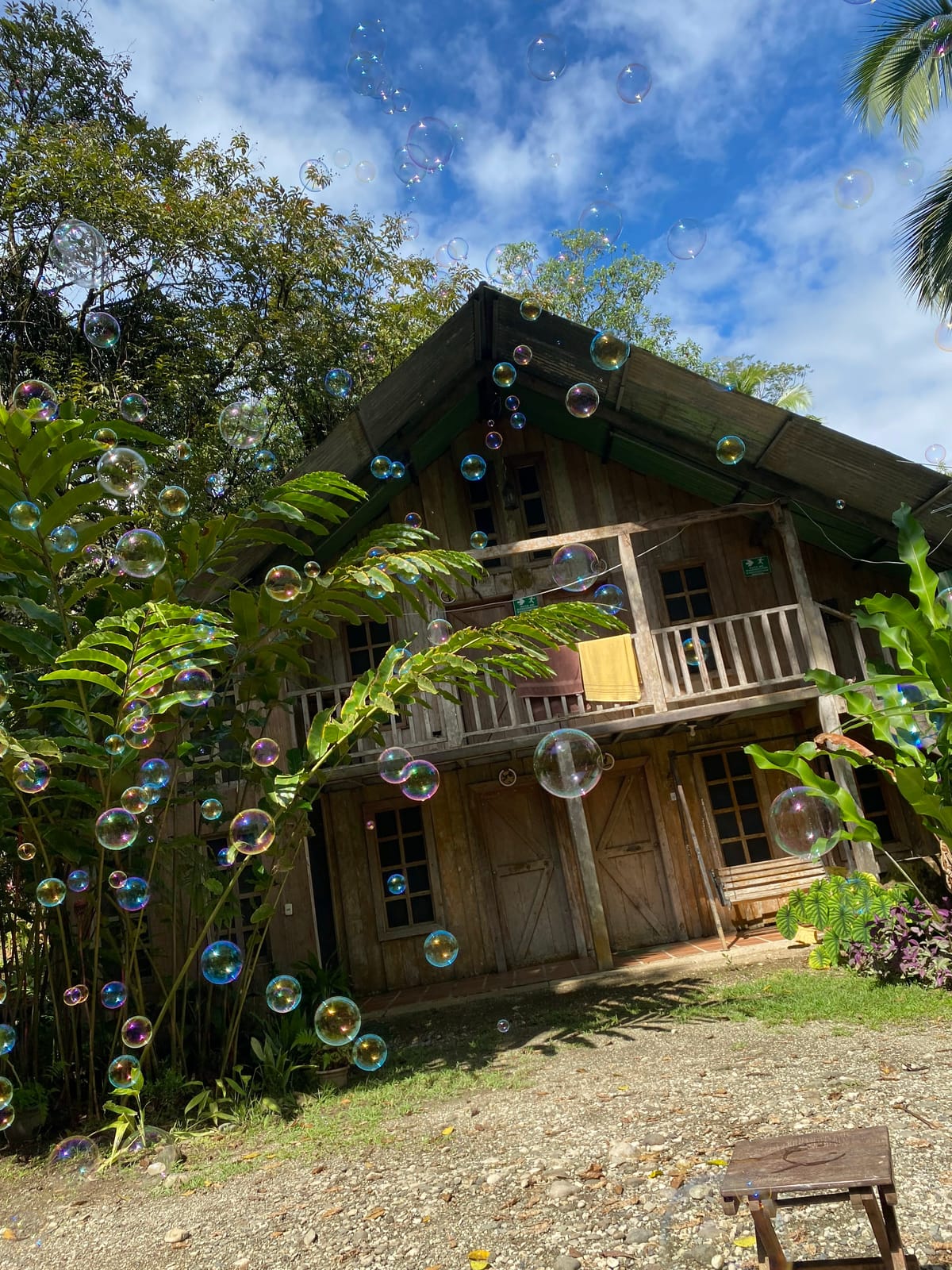 Hotel La Gamba Rainforest Lodge
