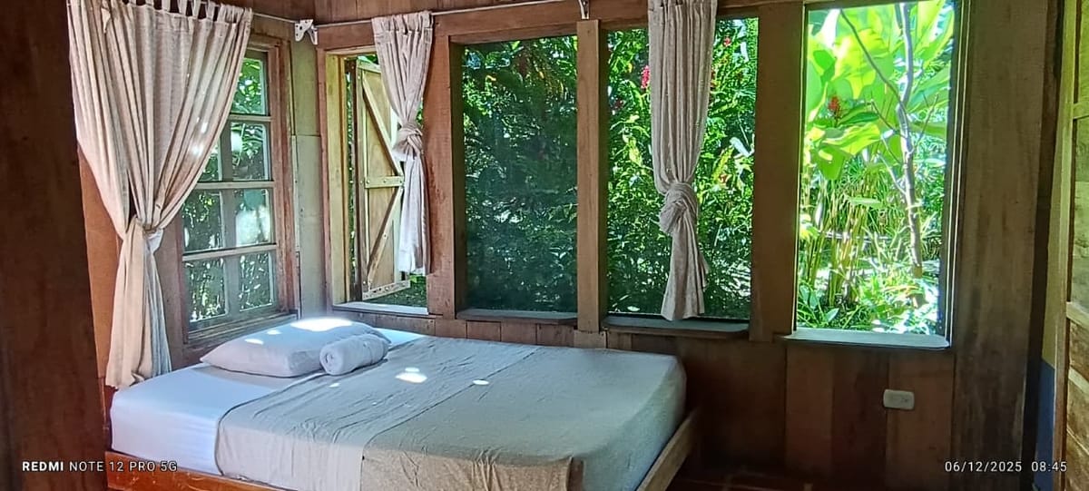Hotel La Gamba Rainforest Lodge — 2