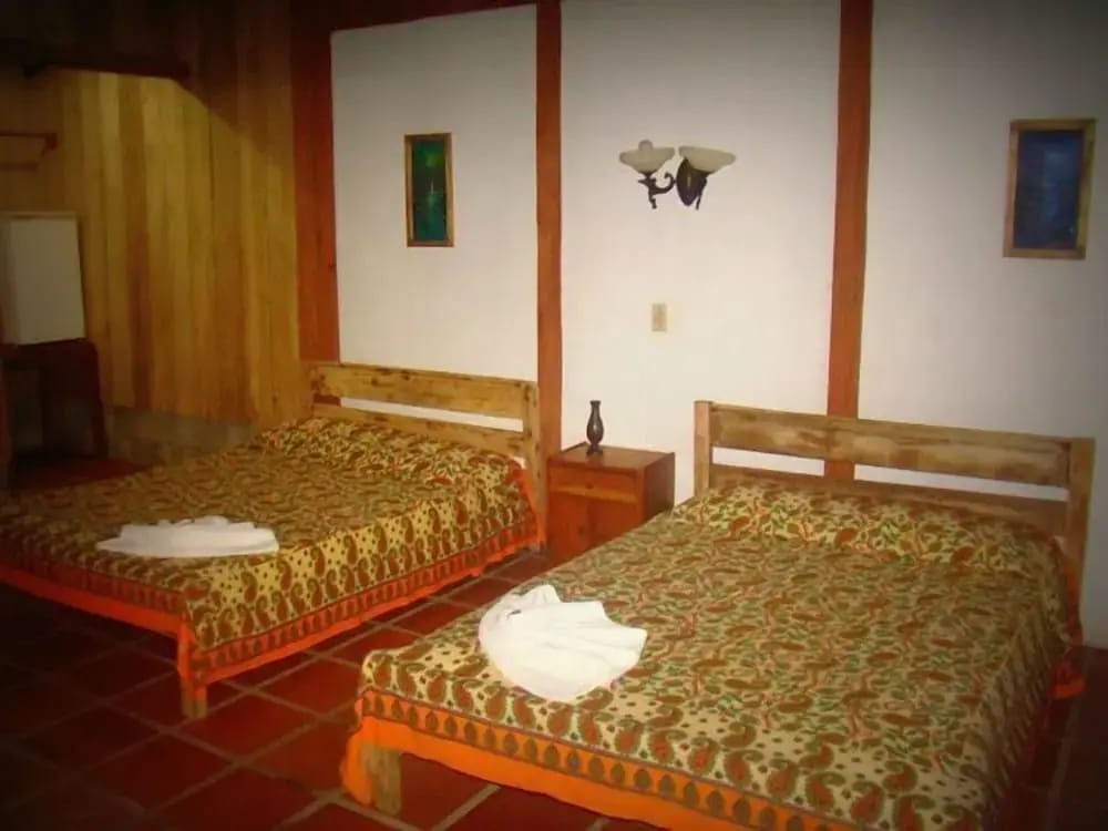 Hotel La Gamba Rainforest Lodge — 4