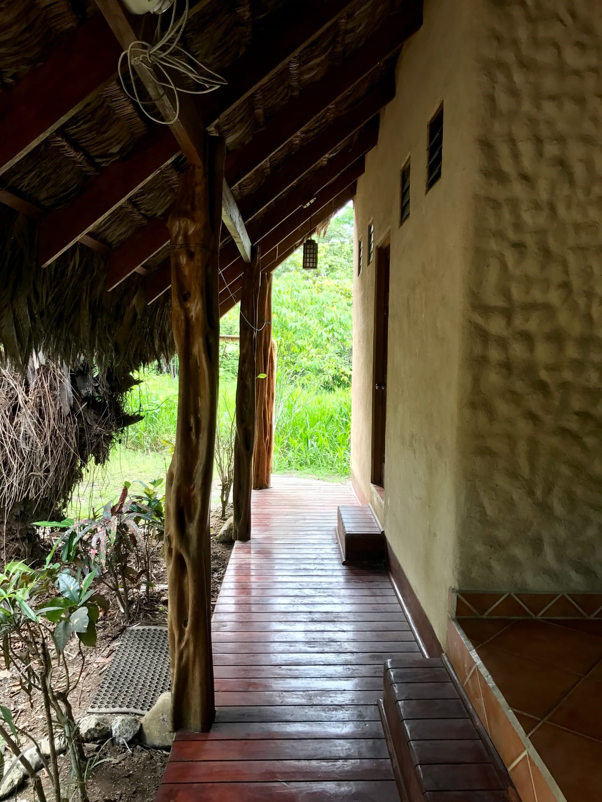 La Palapa Hut Nature Hostel — 1
