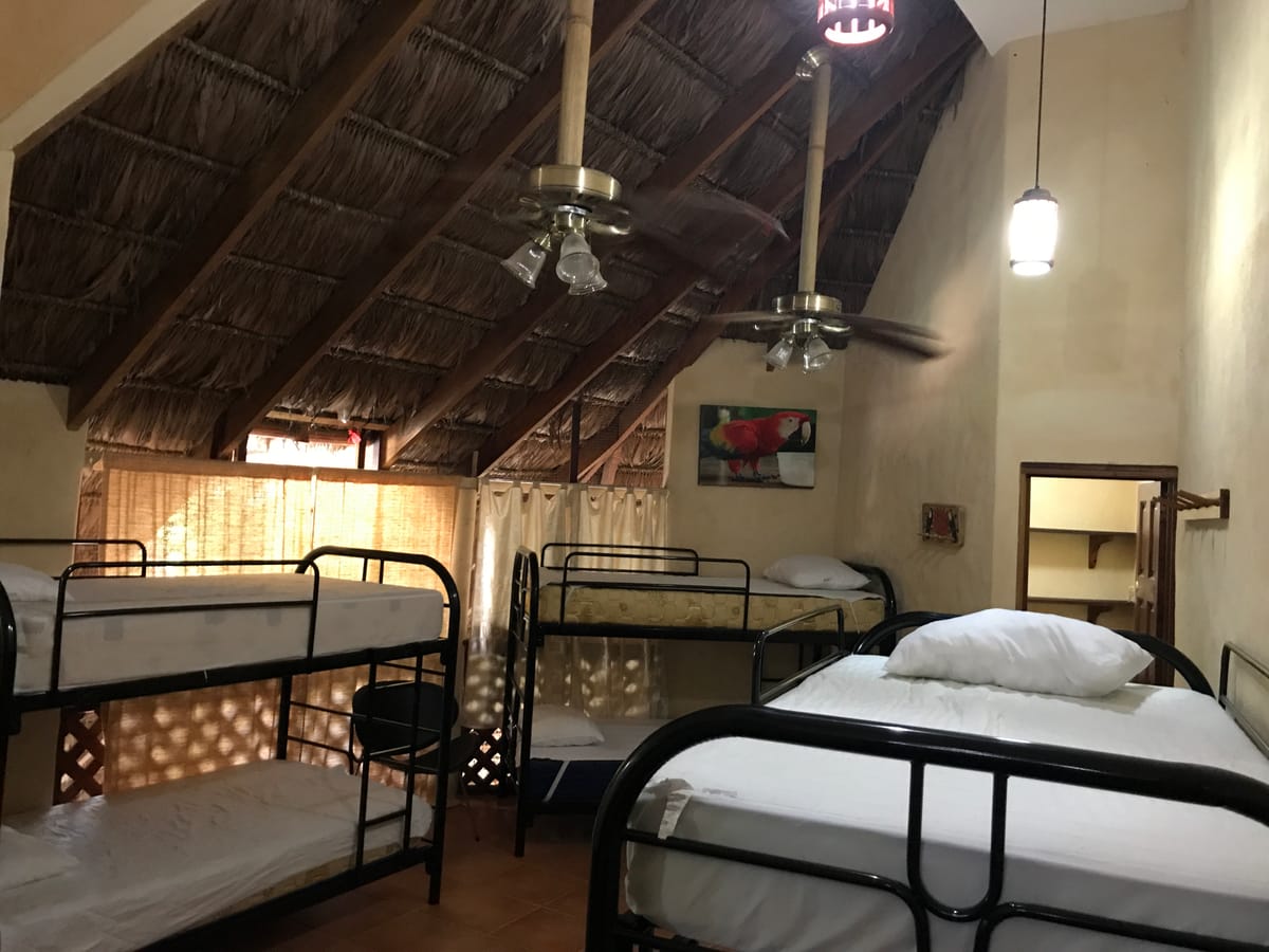 La Palapa Hut Nature Hostel — 3