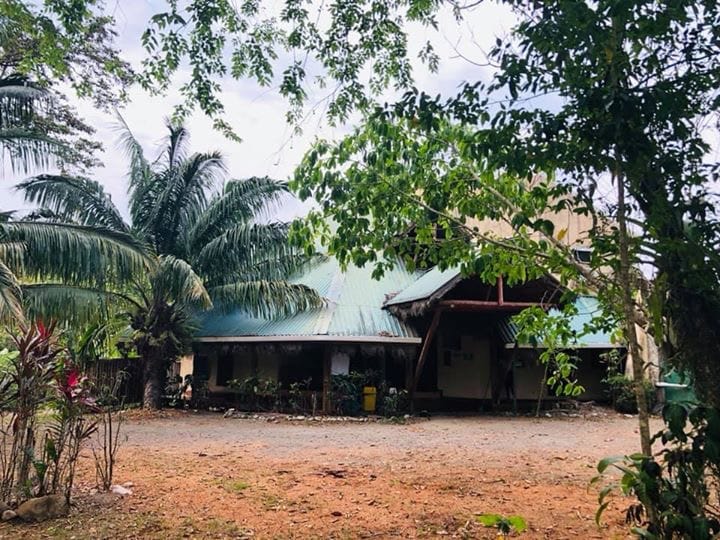 La Palapa Hut Nature Hostel — 4