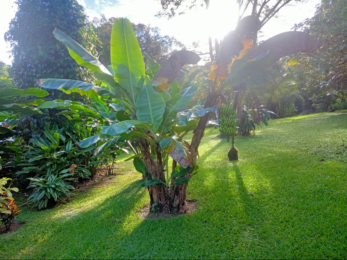 La Purruja Lodge — 4