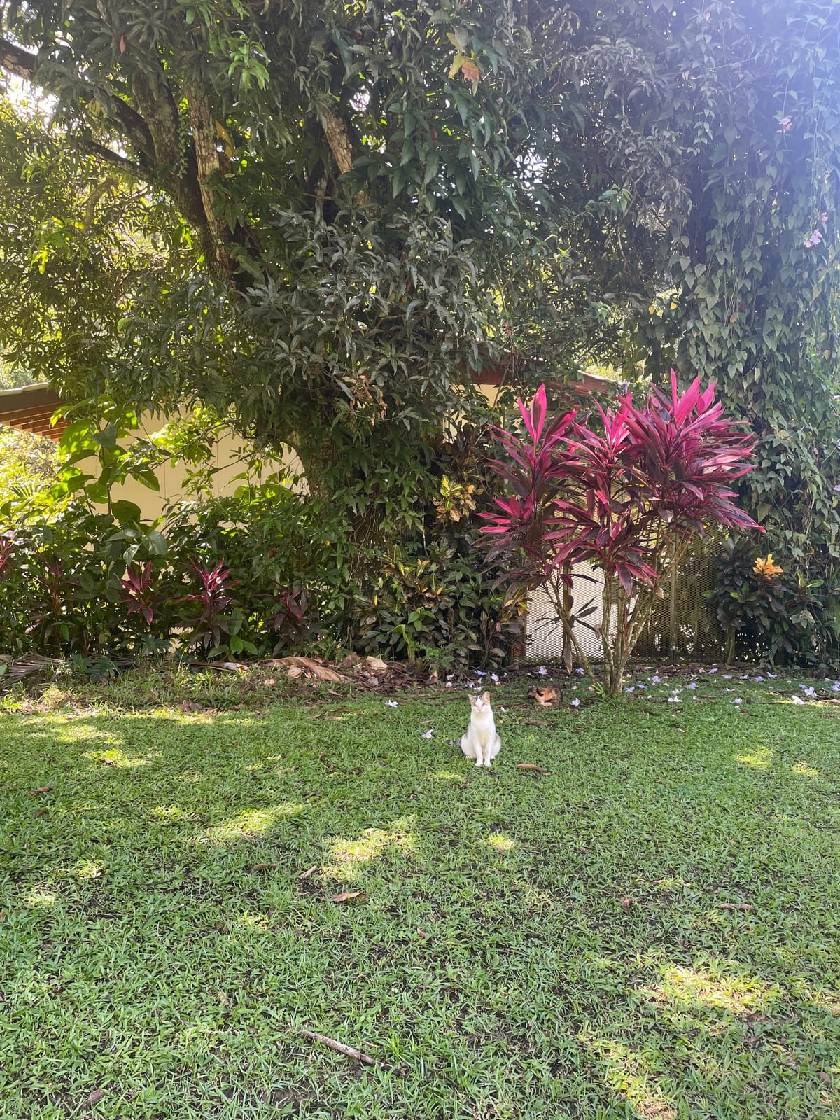 La Purruja Lodge — 5