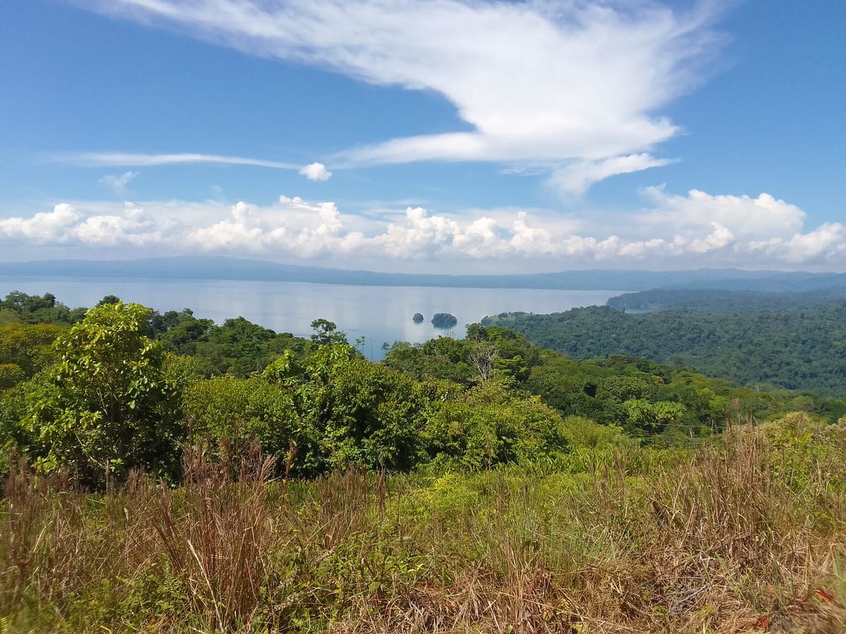 Mirador Osa — 5
