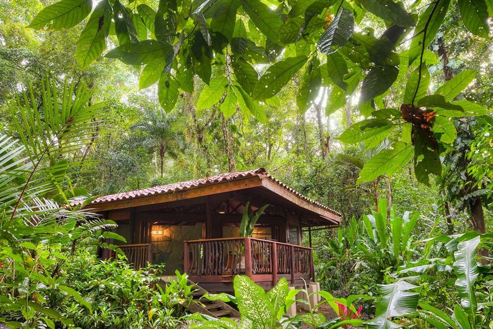 Playa Nicuesa Rainforest Lodge — 2