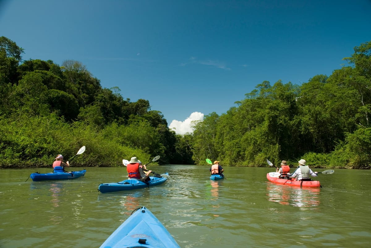 Playa Nicuesa Rainforest Lodge — 5