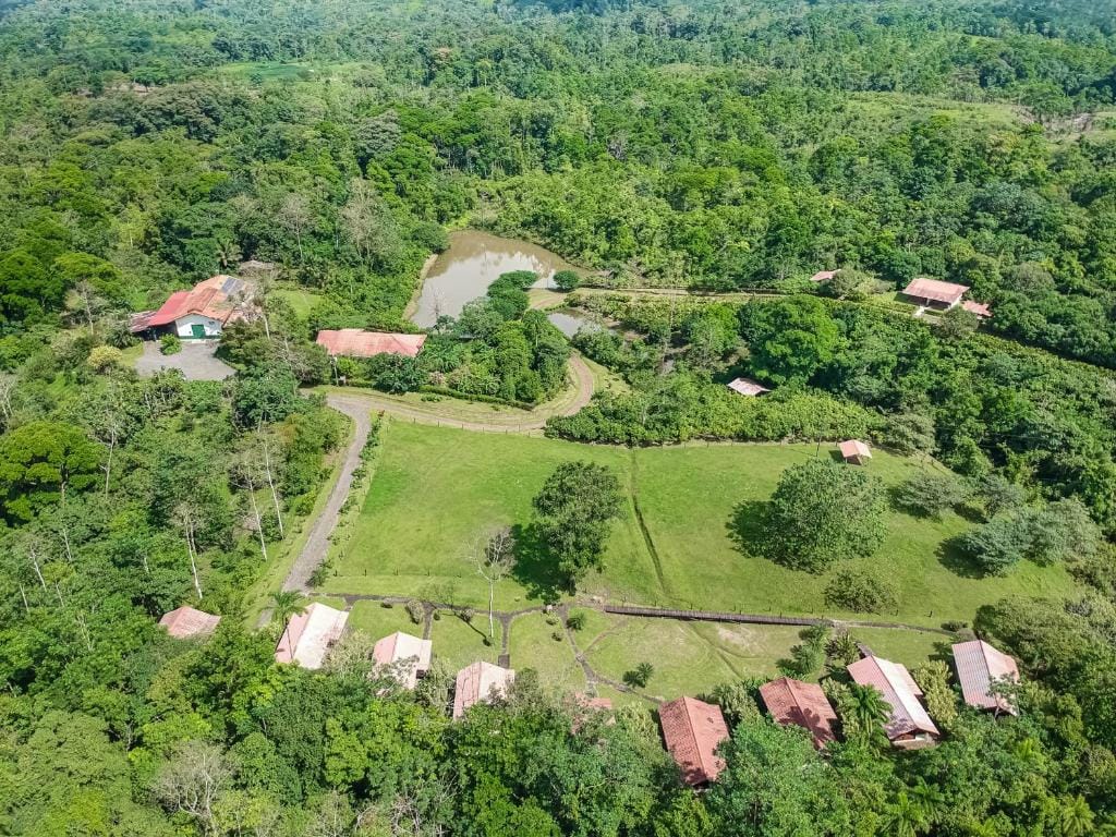 La Anita Rain Forest — 1