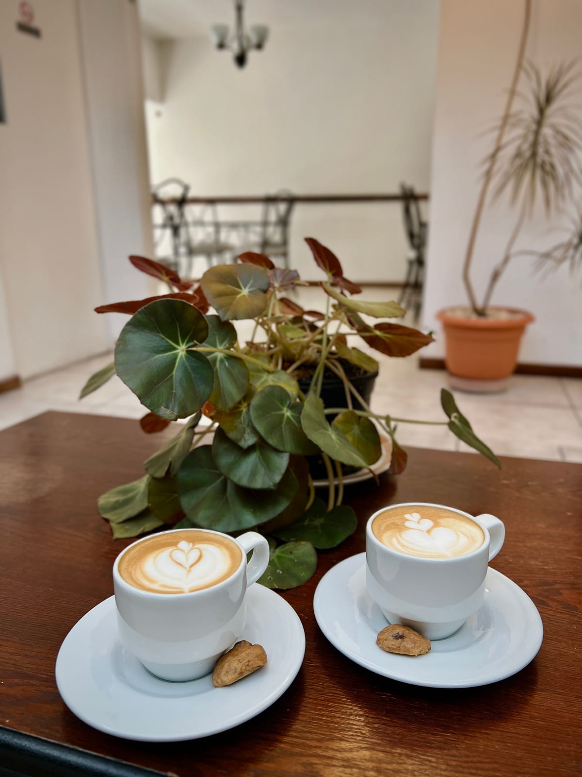 Casa Esmeralda Hotel Boutique - San José — 4