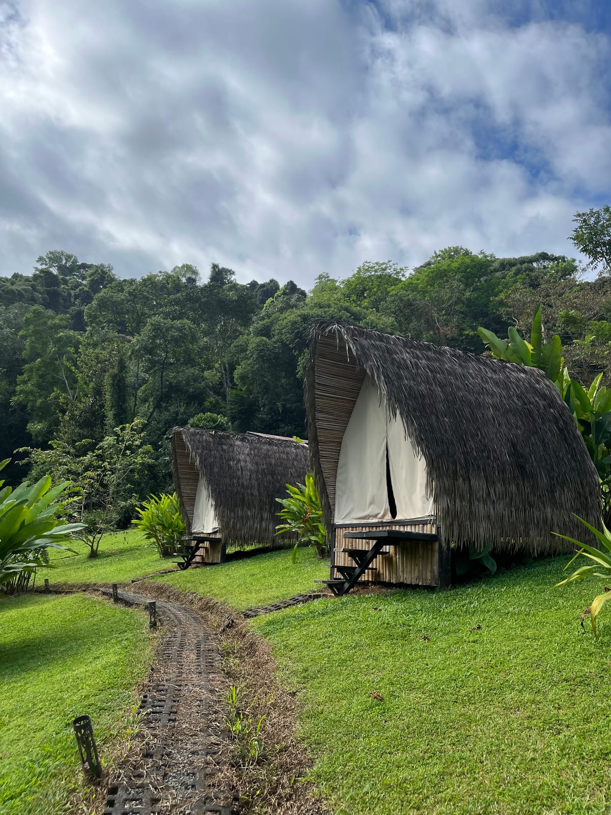 Esquipulas Rainforest — 2