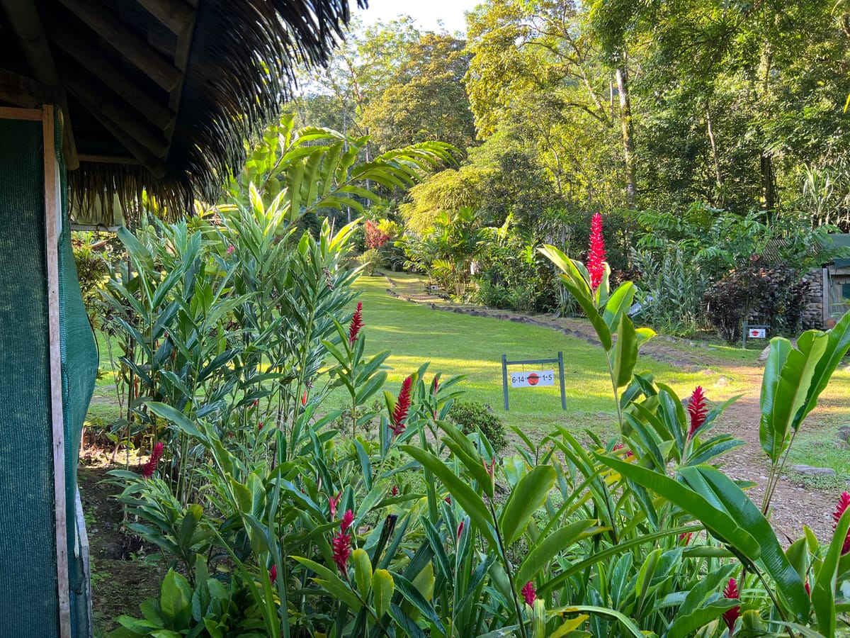 Rafiki Safari Lodge — 2