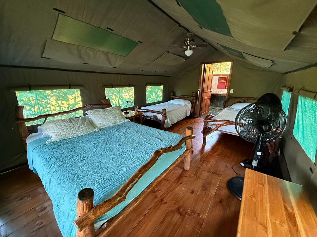 Rafiki Safari Lodge — 3
