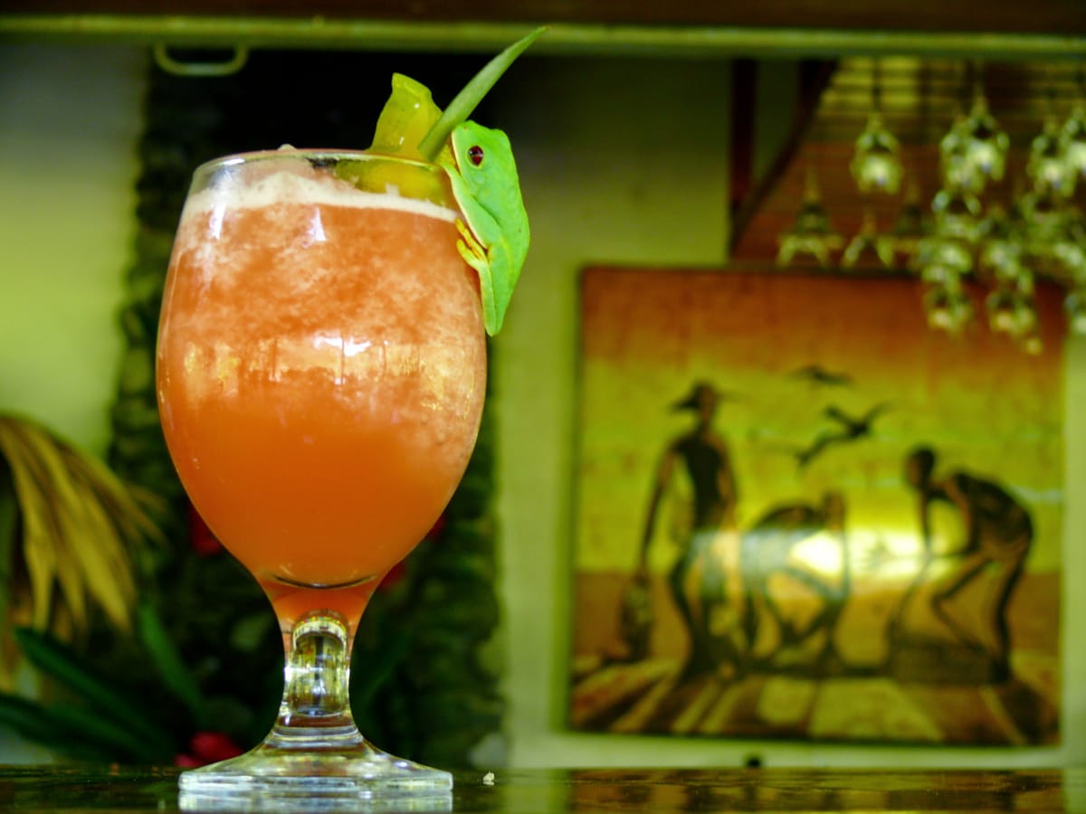 Rafiki Safari Lodge — 5