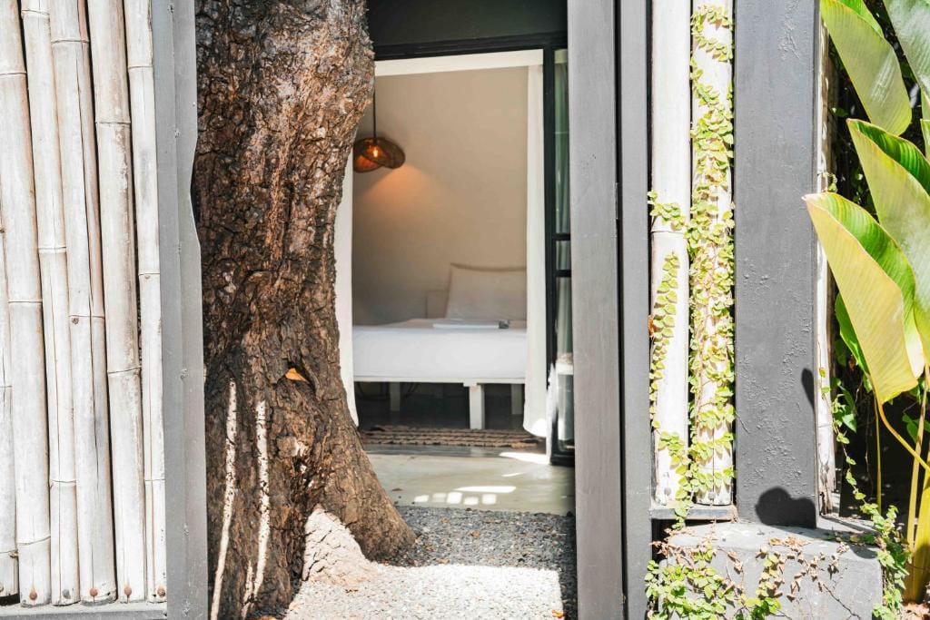La Negra Surf Hotel — 5