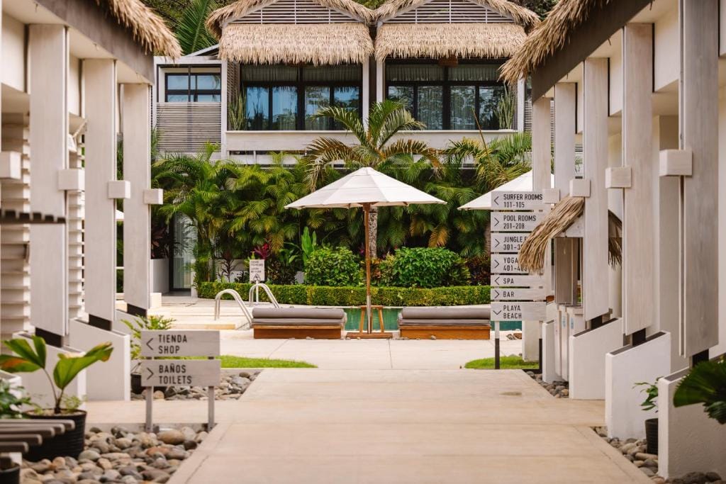 The Gilded Iguana — 4