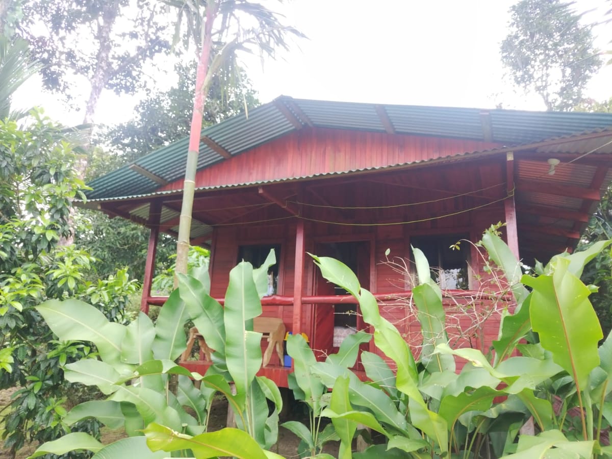 Cabañas Los Laguitos Rio Celeste — 5