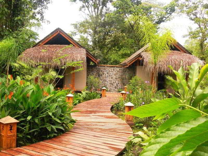 Lost Iguana Resort — 1