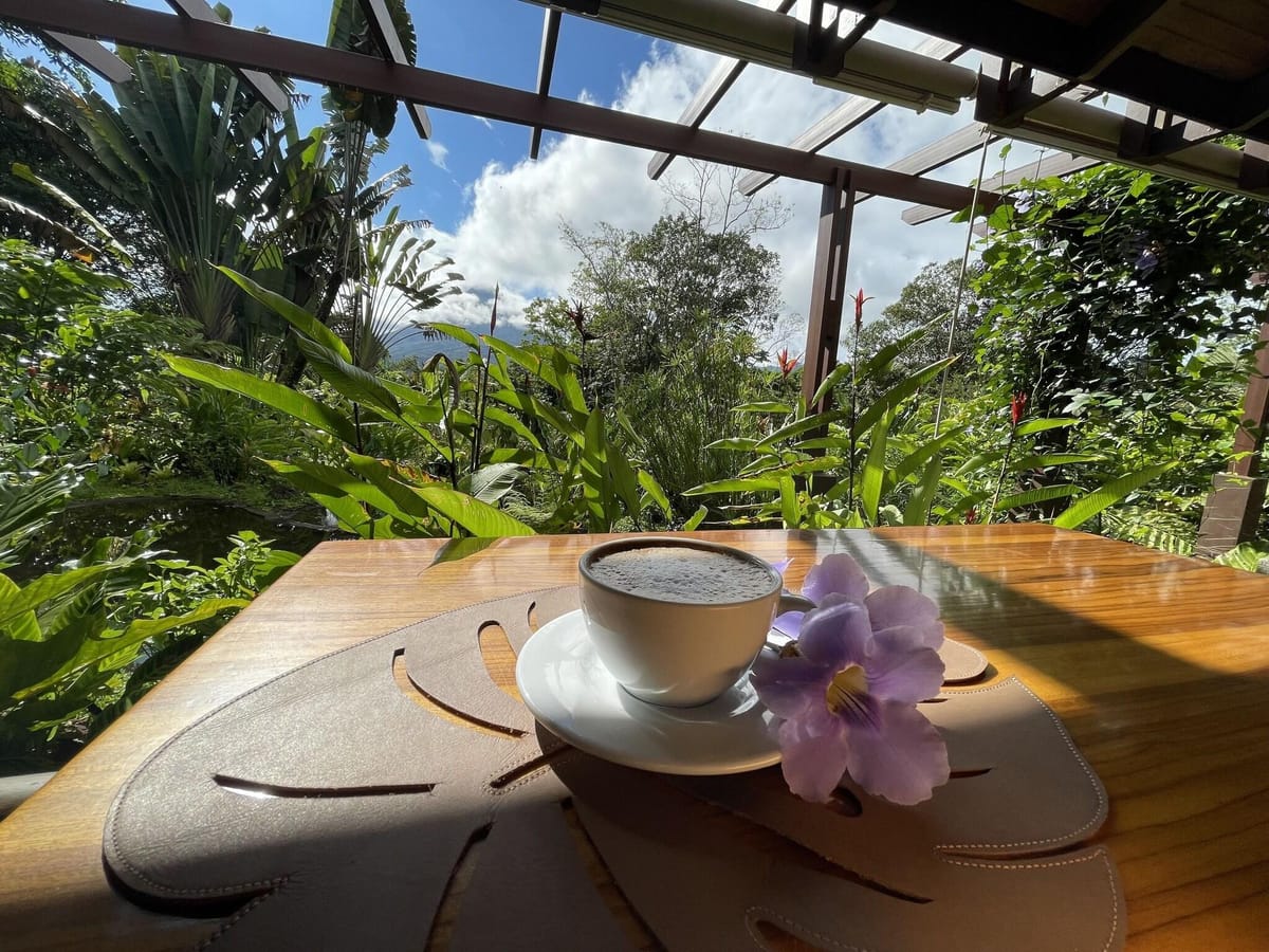 Lost Iguana Resort — 4