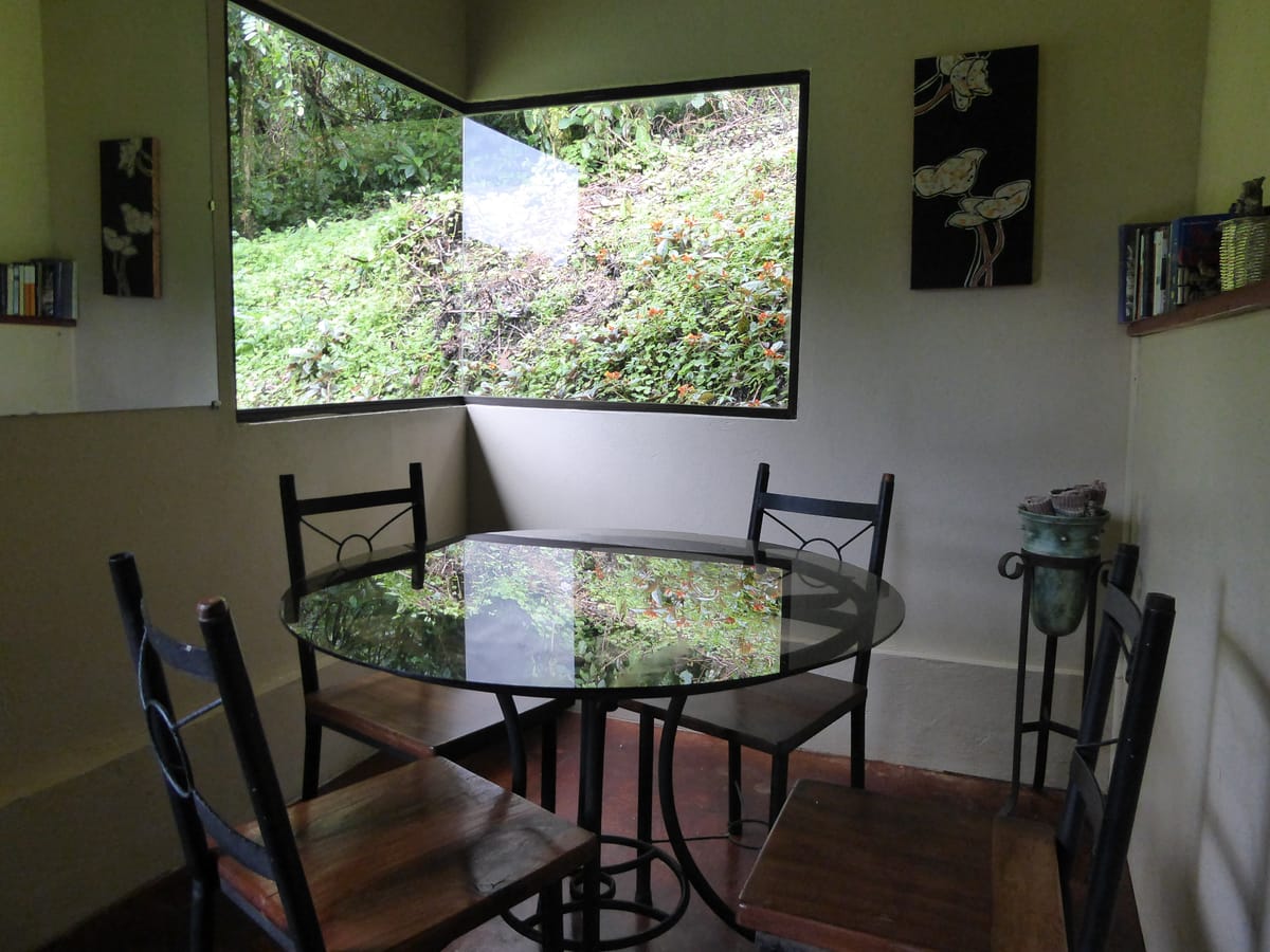 Lucky Bug Bed & Breakfast — 4
