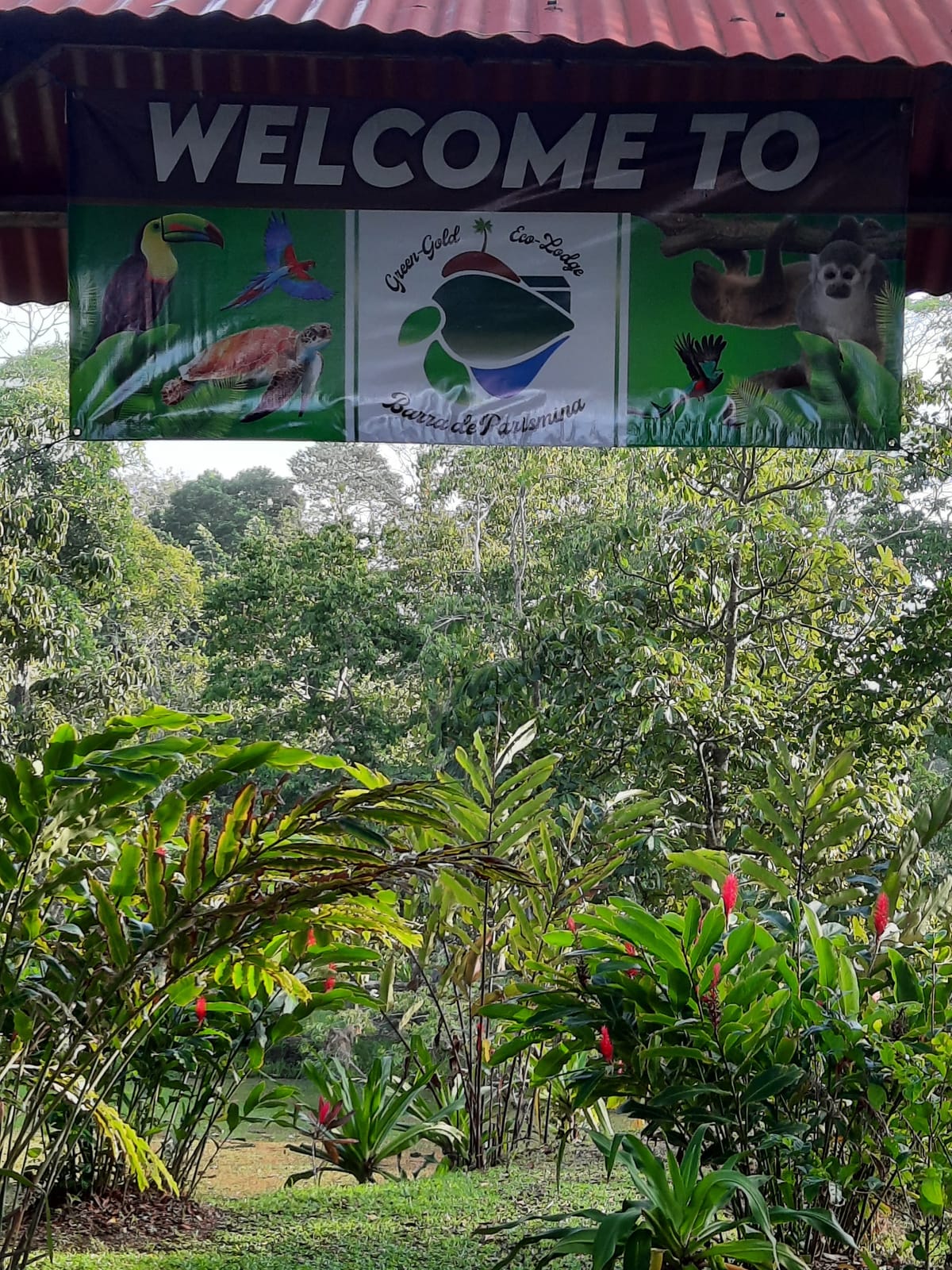 Green Gold Eco-Lodge — 3