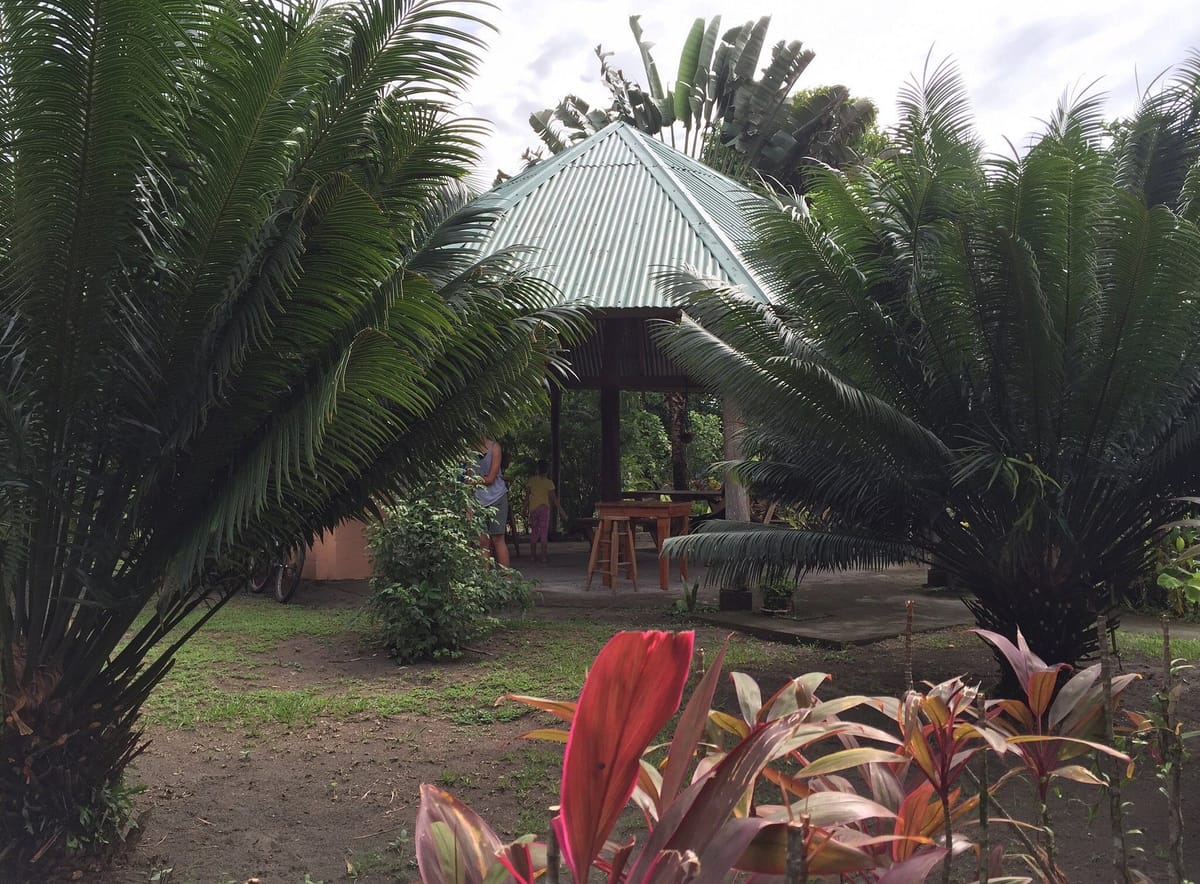 Parismina Gamefish Lodge — 3