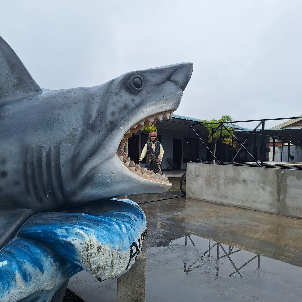 Parismina Tarpon Lodge — 5