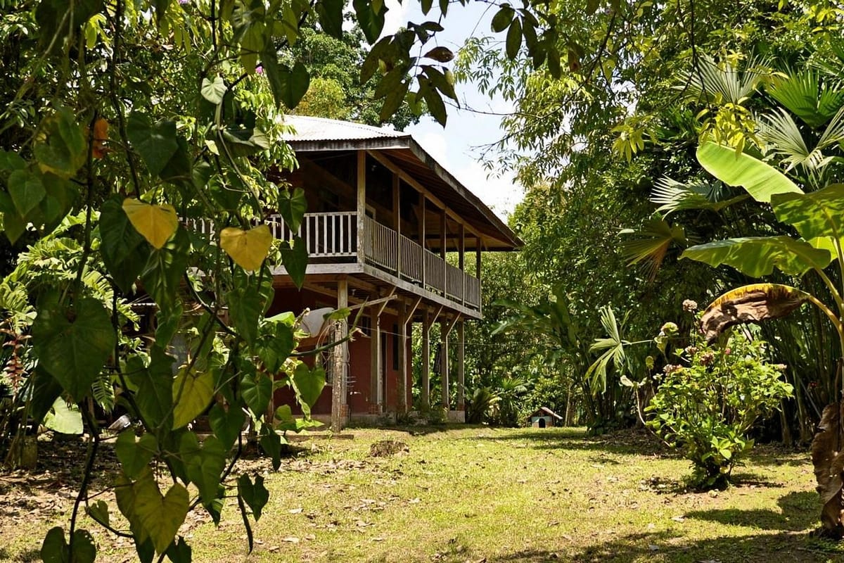 Tico Rainforest B&B — 1